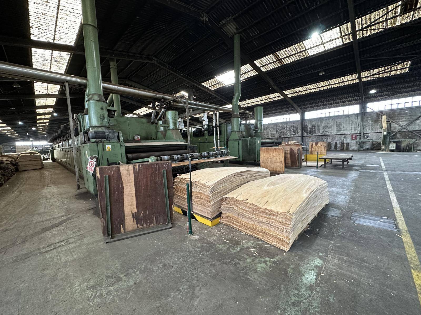 Complete plywood production line CREMONA , Colombo, Pagnoni Complete plywood production line CREMONA , Colombo, Pagnoni - Image 1