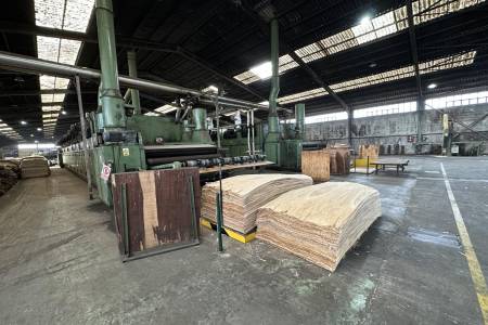 Complete plywood production line CREMONA , Colombo, Pagnoni Complete plywood production line CREMONA , Colombo, Pagnoni - Thumbnail 2