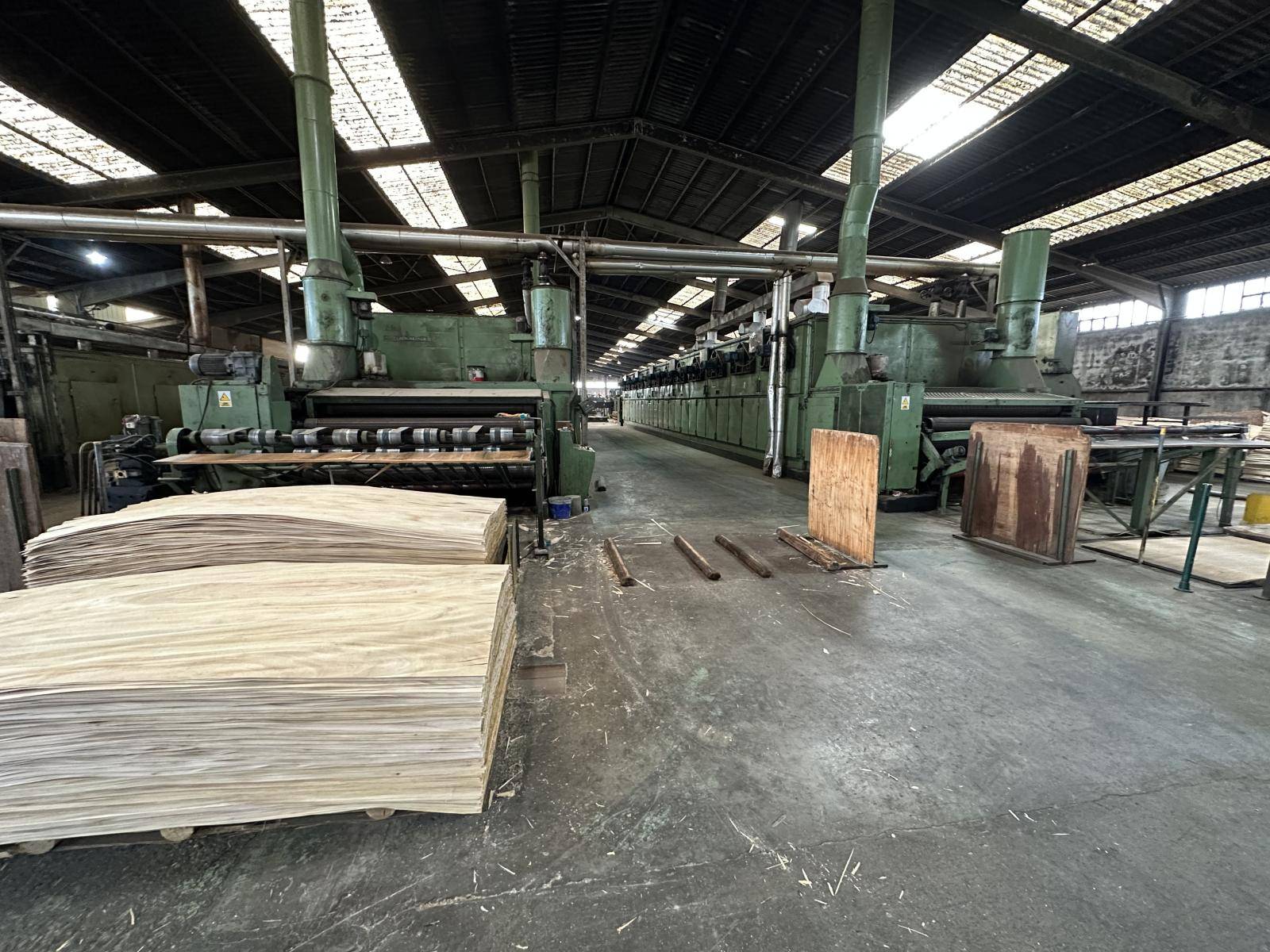 Complete plywood production line CREMONA , Colombo, Pagnoni Complete plywood production line CREMONA , Colombo, Pagnoni - Thumbnail 3