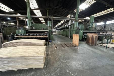 Complete plywood production line CREMONA , Colombo, Pagnoni Complete plywood production line CREMONA , Colombo, Pagnoni - Thumbnail 4
