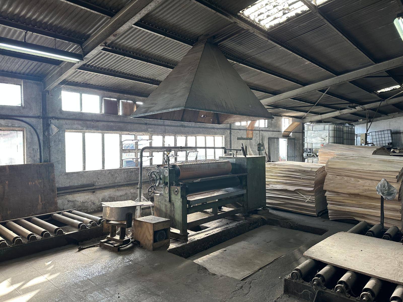 Complete plywood production line CREMONA , Colombo, Pagnoni Complete plywood production line CREMONA , Colombo, Pagnoni - Thumbnail 11