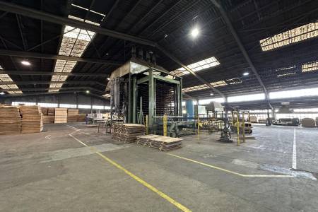 Complete plywood production line CREMONA , Colombo, Pagnoni Complete plywood production line CREMONA , Colombo, Pagnoni - Thumbnail 14