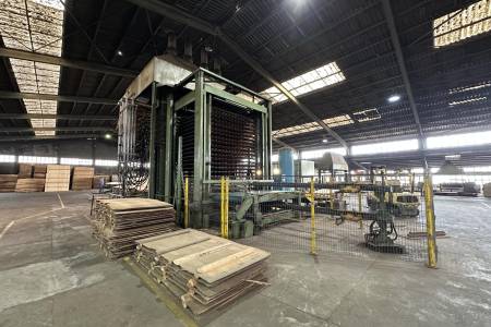 Complete plywood production line CREMONA , Colombo, Pagnoni Complete plywood production line CREMONA , Colombo, Pagnoni - Thumbnail 16