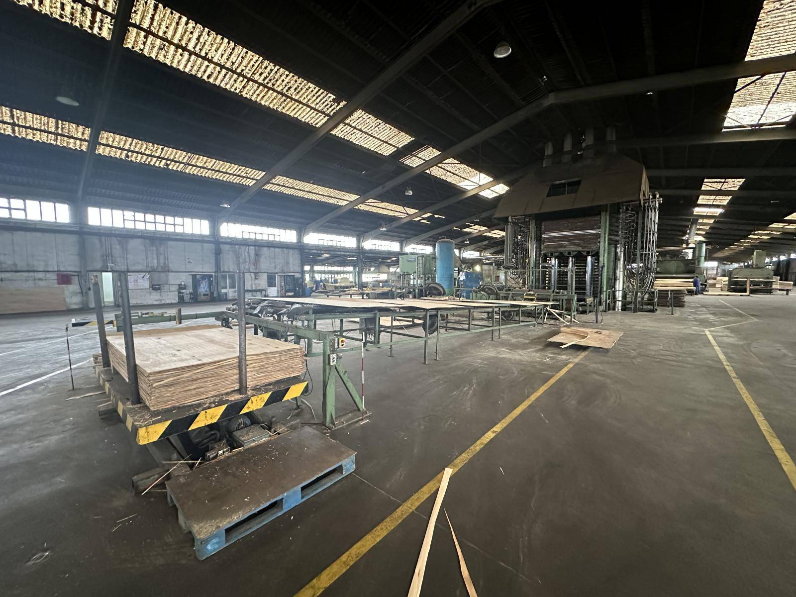 Complete plywood production line CREMONA , Colombo, Pagnoni Complete plywood production line CREMONA , Colombo, Pagnoni - Thumbnail 19